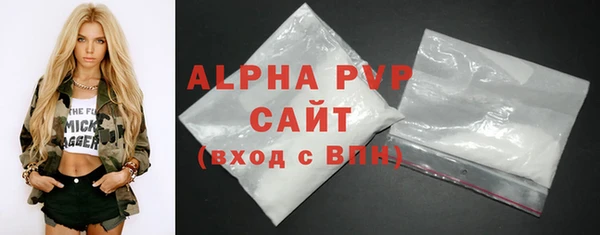 стаф Арсеньев
