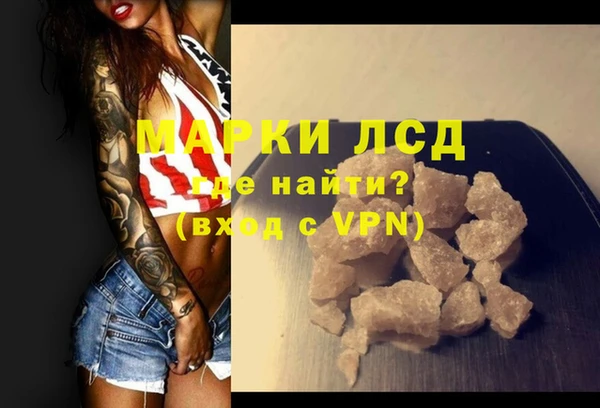 стаф Арсеньев