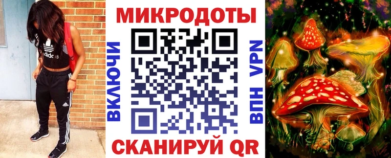 где продают Джанкой Галлюциногенные грибы Psilocybe